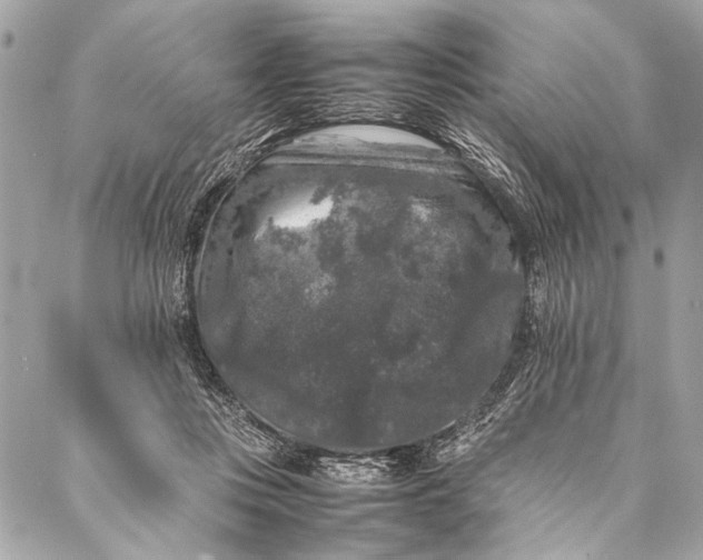 X0000087020359200705071515