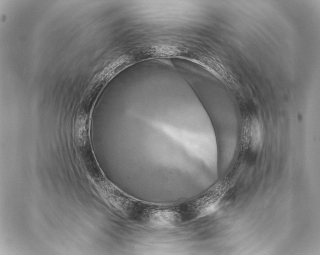 X0000087020360200705071515