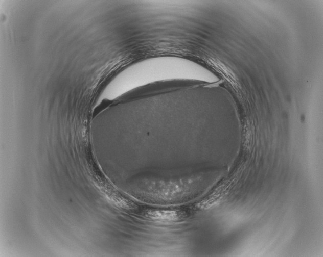 X0000087020361200705071515