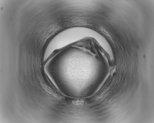 X0000087020362200705071515