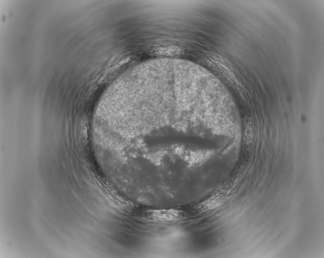 X0000087020363200705071515