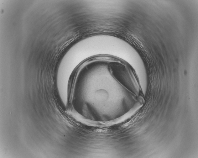 X0000087020364200705071515