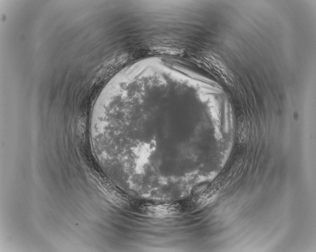 X0000087020365200705071515