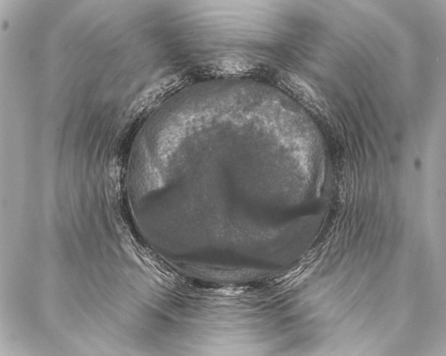 X0000087020366200705071515