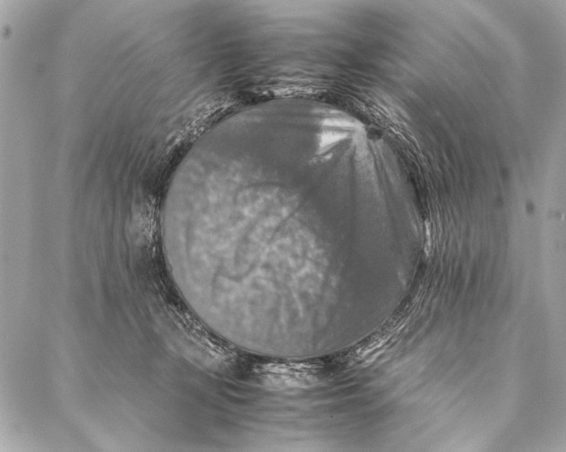 X0000087020367200705071515