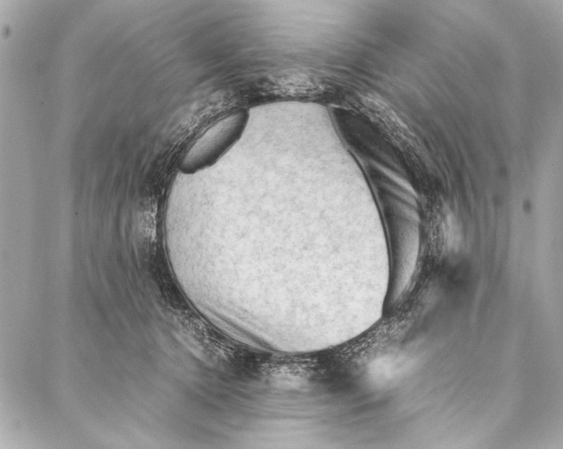 X0000087020368200705071515