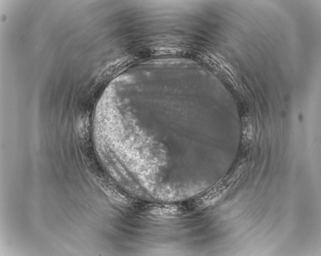 X0000087020369200705071515