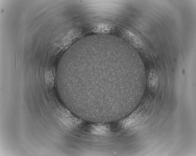 X0000087020370200705071515