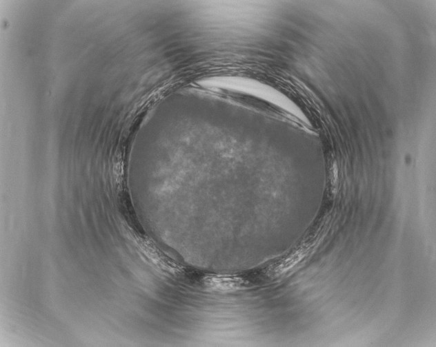 X0000087020372200705071515