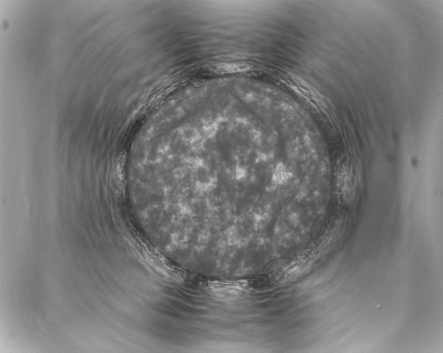 X0000087020373200705071515