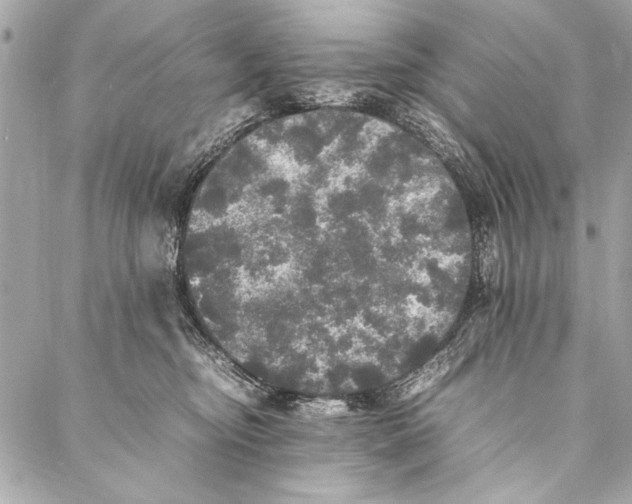 X0000087020374200705071515