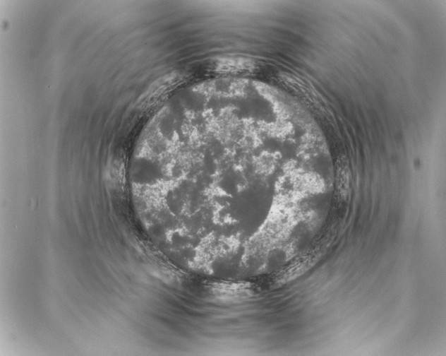 X0000087020375200705071515