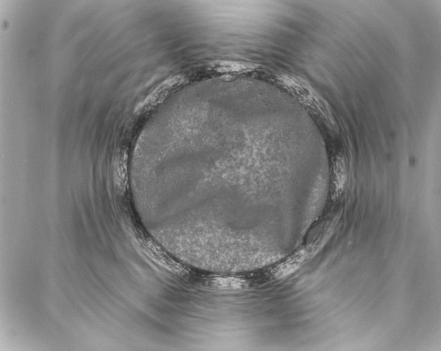 X0000087020376200705071515