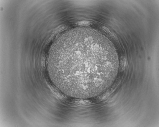 X0000087020379200705071516