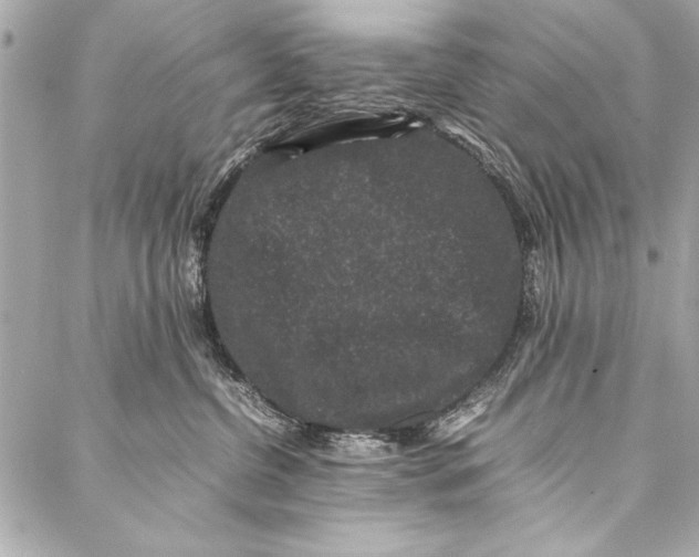 X0000087020380200705071516