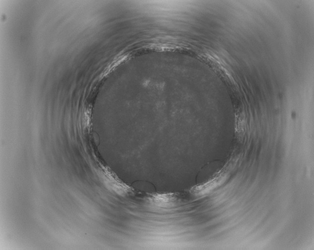 X0000087020382200705071516