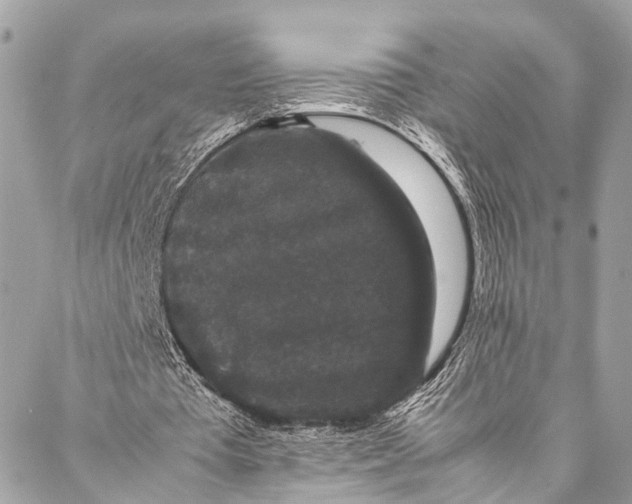 X0000087020385200705071515