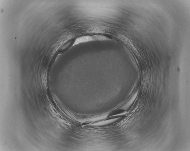 X0000087020386200705071515