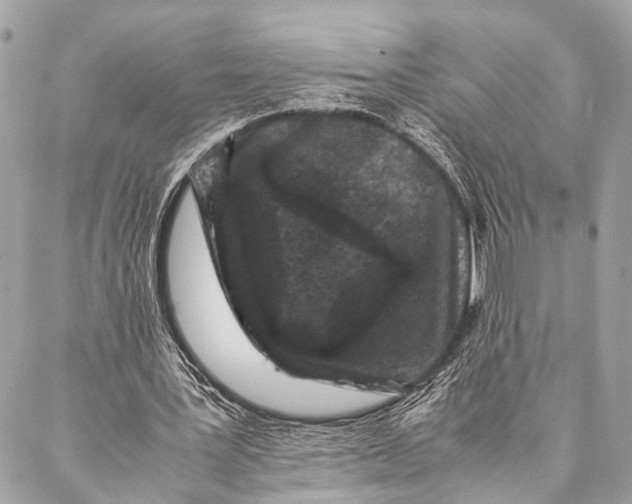 X0000087020387200705071515