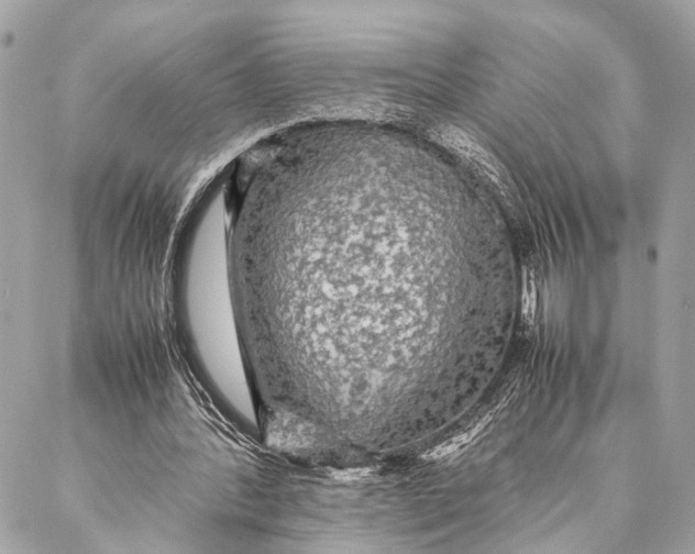 X0000087020388200705071515