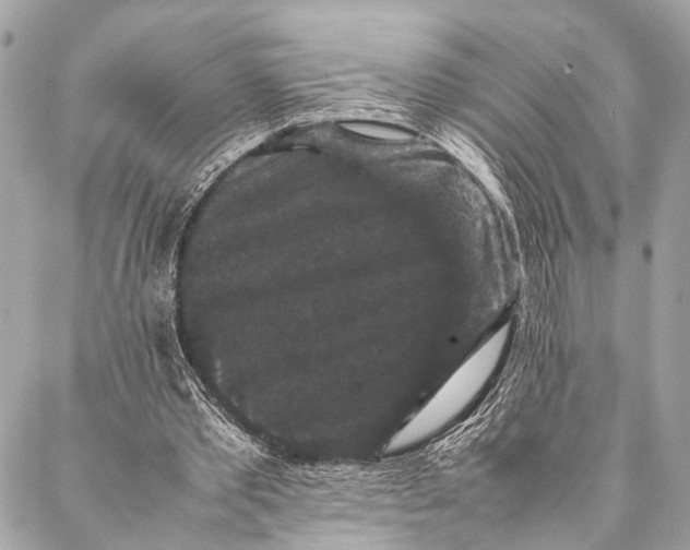 X0000087020389200705071515