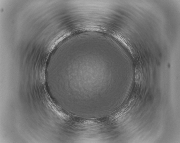 X0000087020390200705071515