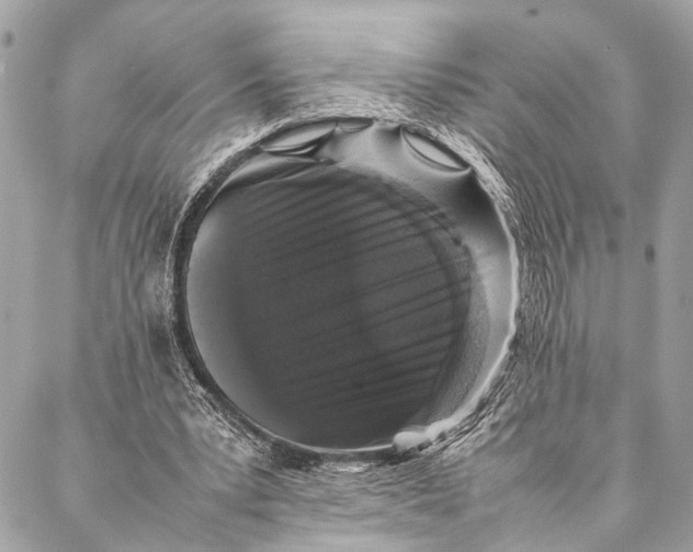 X0000087020391200705071515