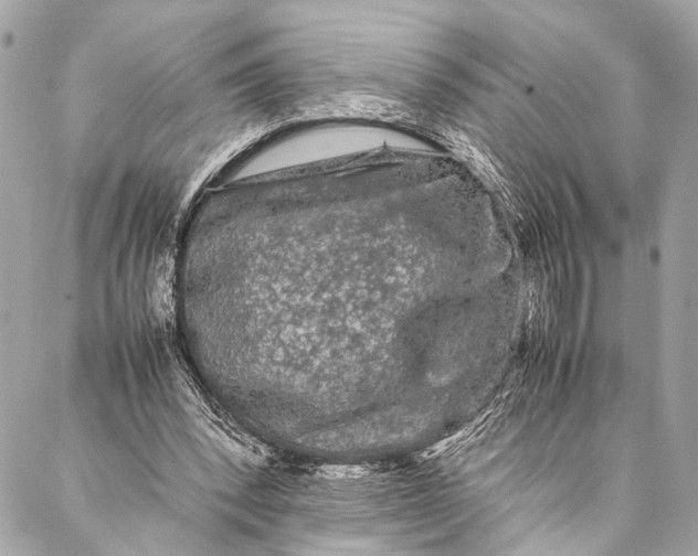 X0000087020392200705071515