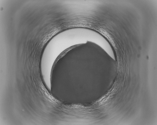 X0000087020393200705071515