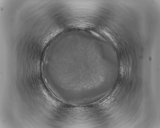 X0000087020394200705071515