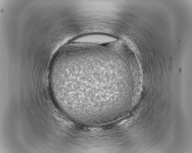 X0000087020395200705071515