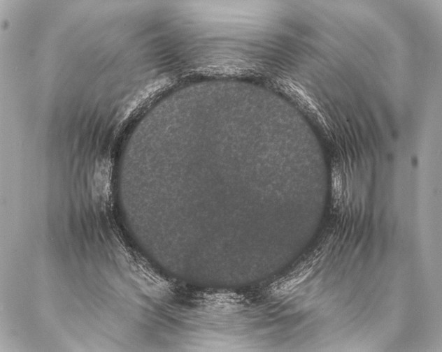 X0000087020396200705071515