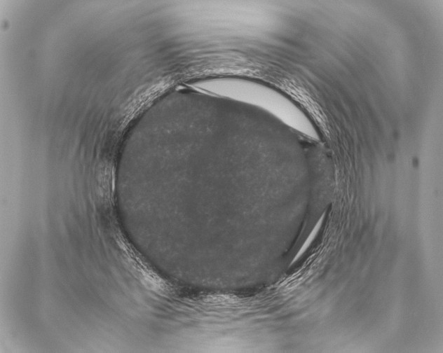 X0000087020397200705071515