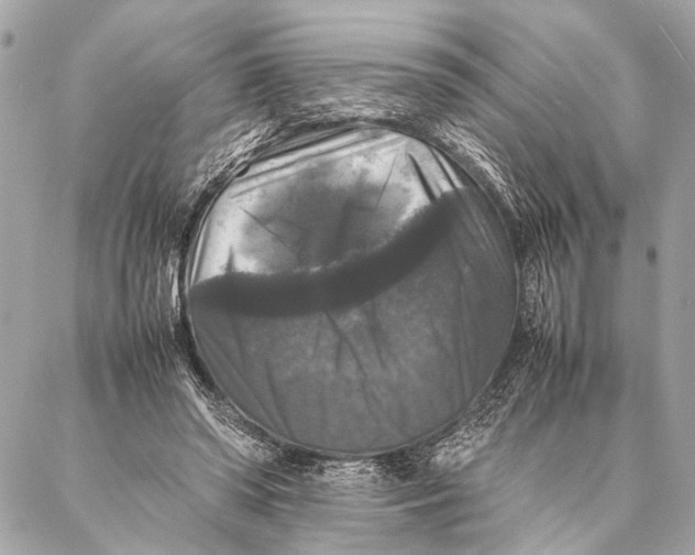 X0000087020398200705071515