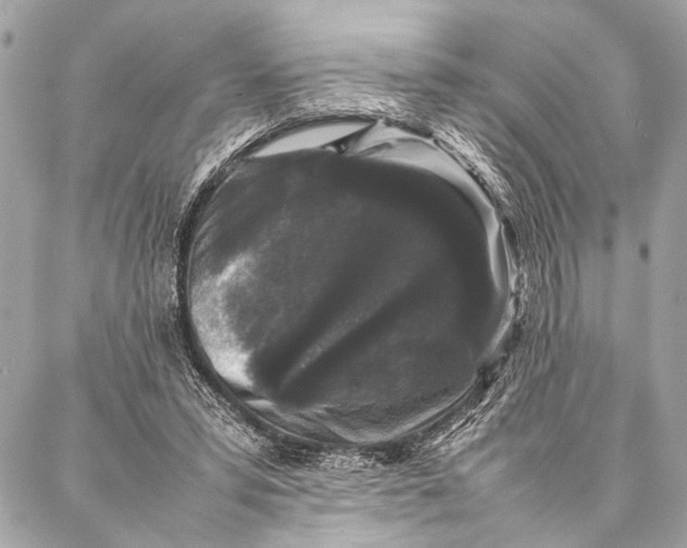 X0000087020399200705071515