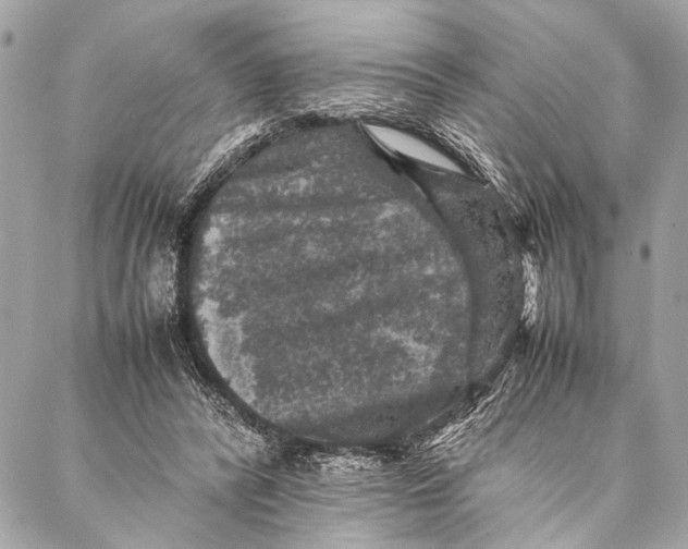 X0000087020400200705071515