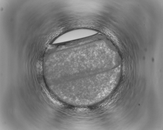 X0000087020401200705071515