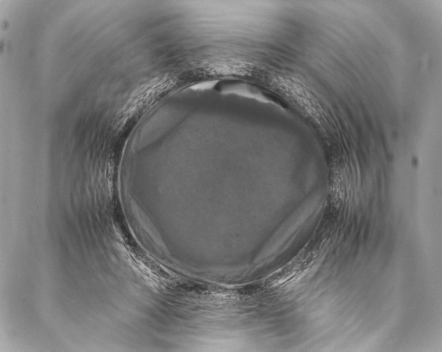 X0000087020402200705071515