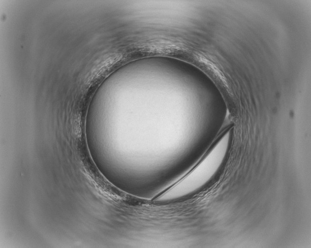 X0000087020403200705071515