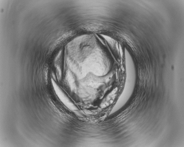 X0000087020404200705071515