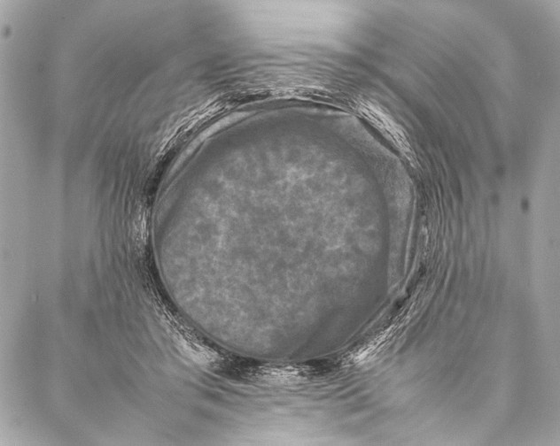 X0000087020405200705071515