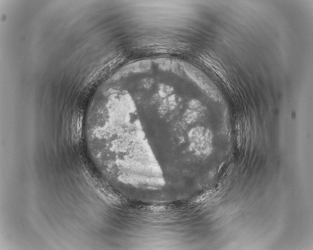 X0000087020406200705071514