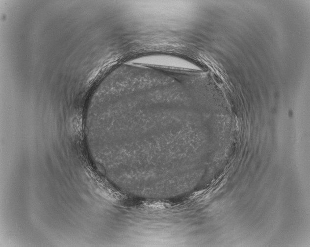 X0000087020407200705071514