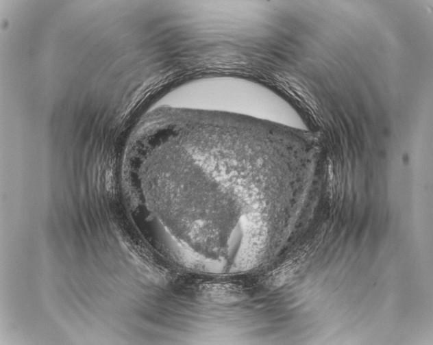 X0000087020408200705071514