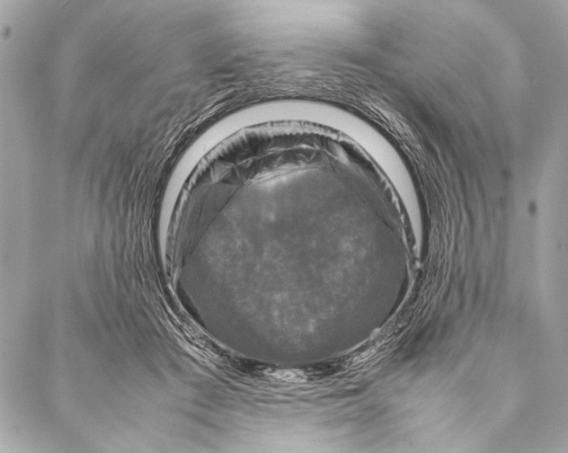 X0000087020409200705071514