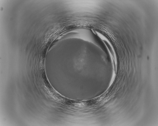 X0000087020411200705071514