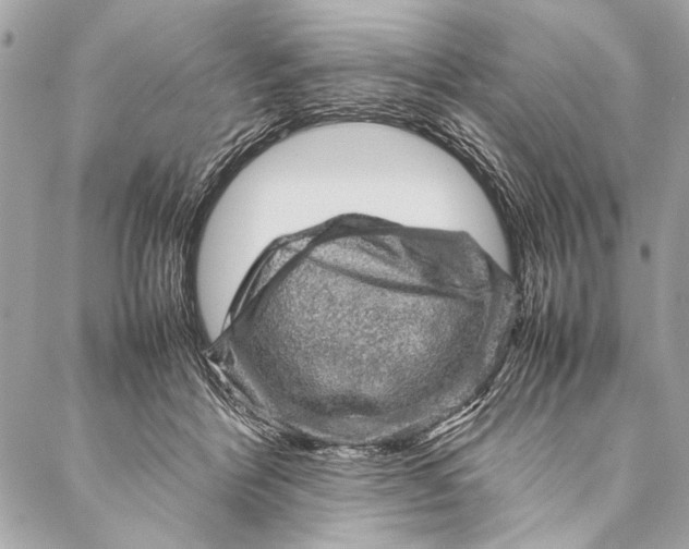 X0000087020412200705071514