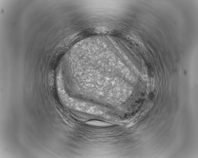 X0000087020413200705071514