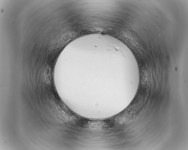 X0000087020414200705071514