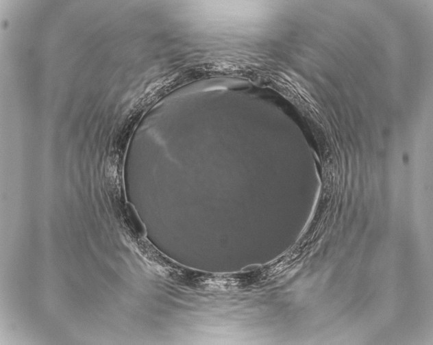 X0000087020415200705071514